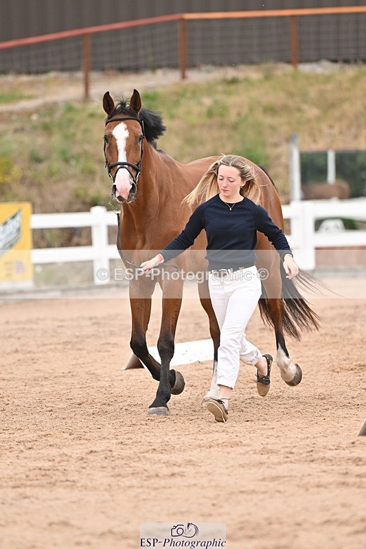 250716-160805-02434 - Trot Up 3.30 to 4.30