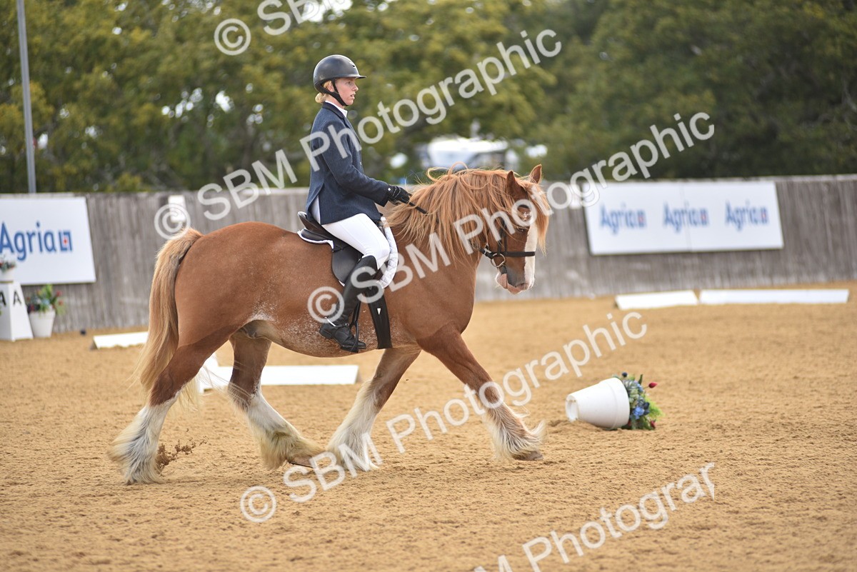 SBM_29621 - D16 -Small Tour Championship Novice 2