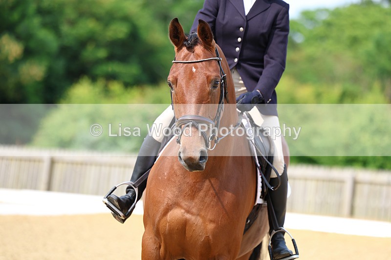 3E7A8931 - Class 1: Intro 1 2024 Section A