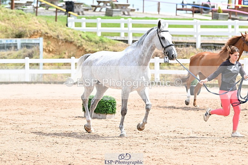 240717A-144342-02242 - Trot Up 2pm to 3pm - This folder is not in time order