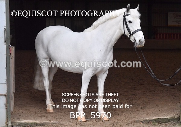 BPP_5970 - Erin Hancock ×2