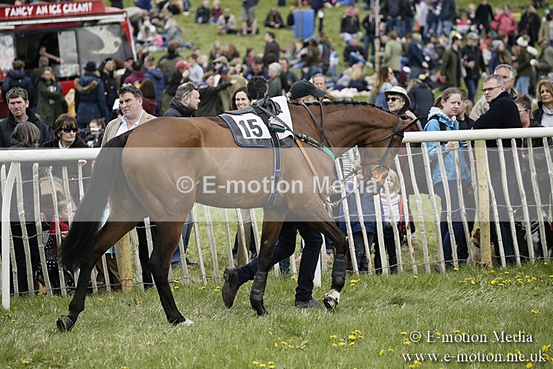 PtP 170417 124 - Old Berks Point-to-Point Lockinge 17/04/17