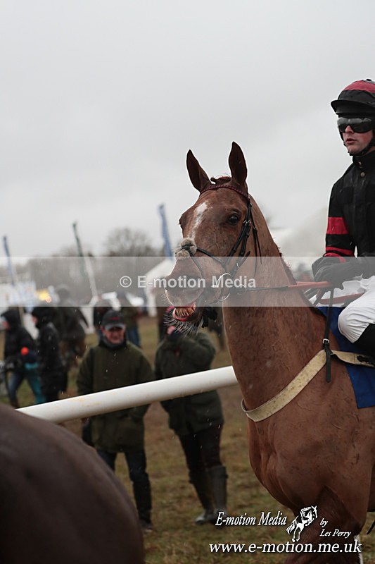 PtP 260125 174 - Cocklebarrow Point-to-Point racing with the Heythrop Hunt 26/01/25