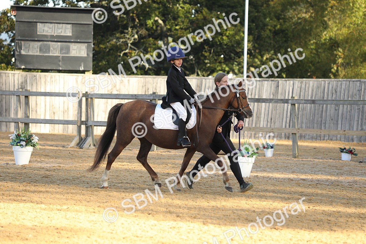 SBM_33649 - D26 - Starers - Lead Rein