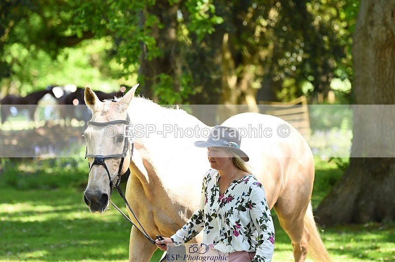 230524-150924-00096 - 356-THE_DUMB_BLONDE-Kat_Raybould-WEDTrotUp+DR