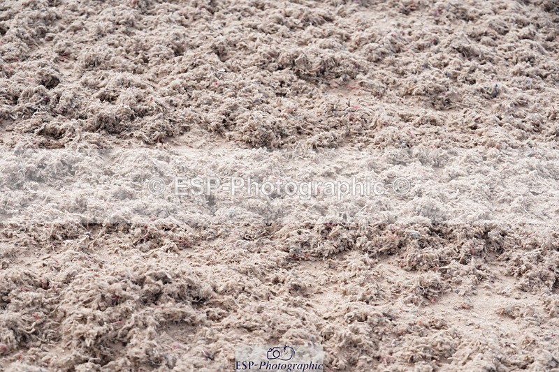 250505-092716-04090 - Cls 12 Stepping Stones