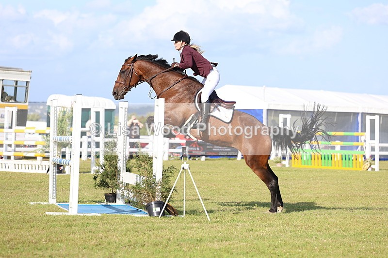 3E7A4443 - Class C: Showjumping Senior Foxhunter