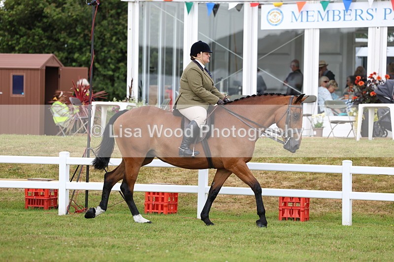 3E7A9265 - Class 4: Rising Star M/H Hunter