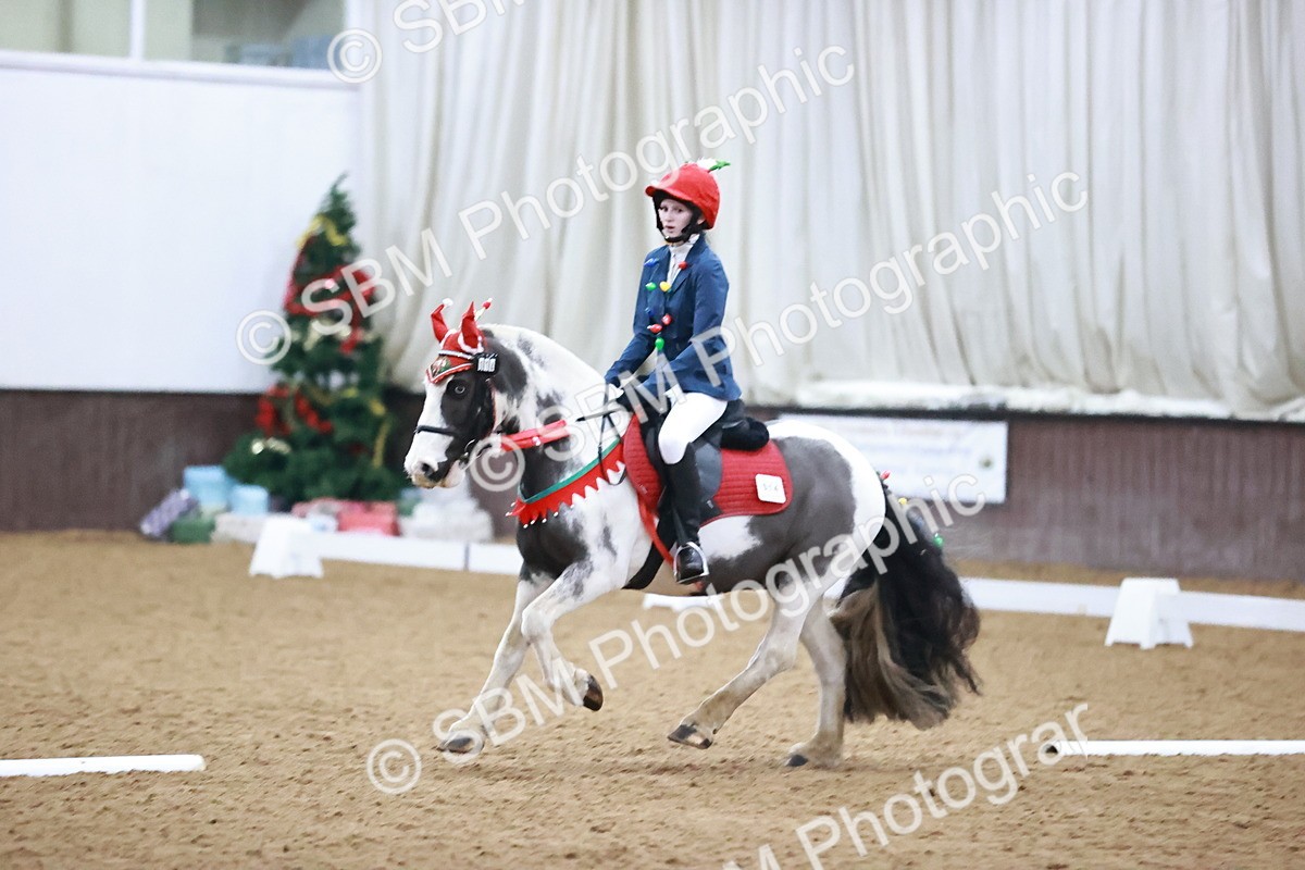 SBM_000295 - Class 1-4 - Intro - Prelim 1