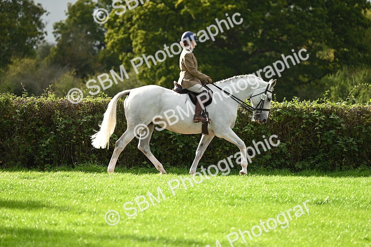 SBM_26319 - S6 - Novice & newcomer Ridden horse