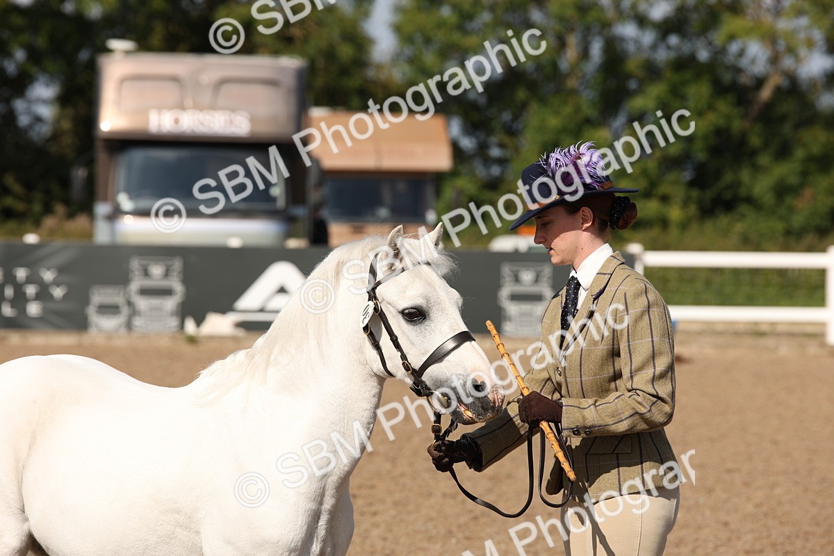 SBM_02778 - Class 16 IH M&M Wildcard