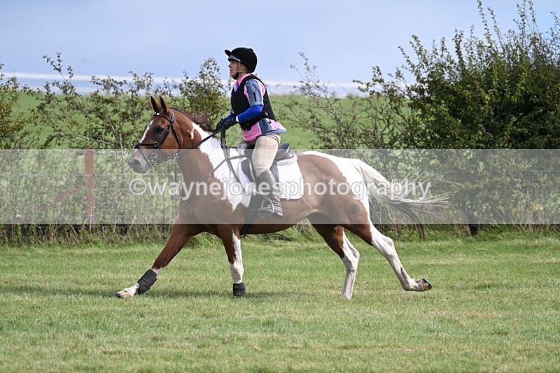 WJ7_6303 - Time 11:29 to 11:45