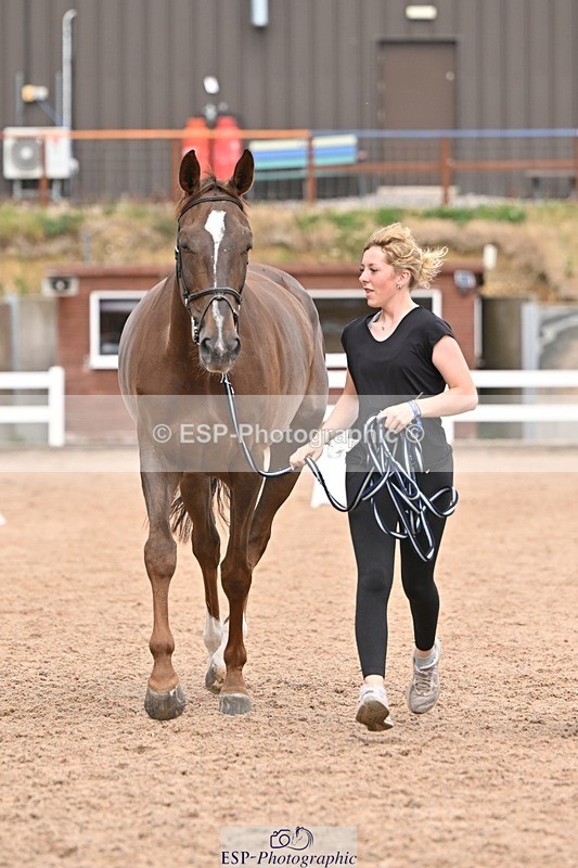 250716-162009-02577 - Trot Up 3.30 to 4.30