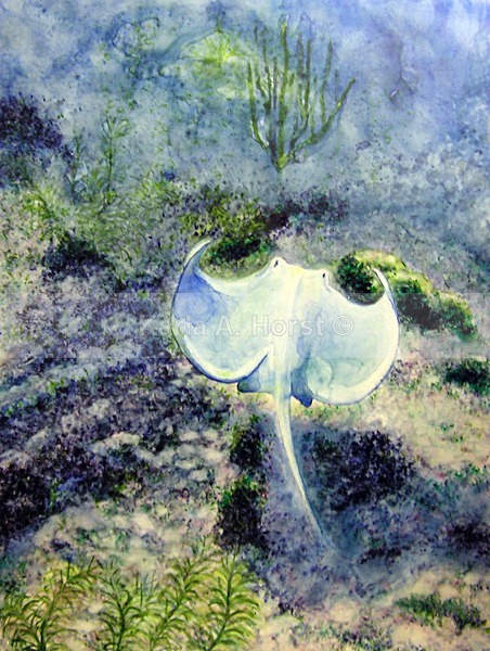 Southern Stingray - Original Art