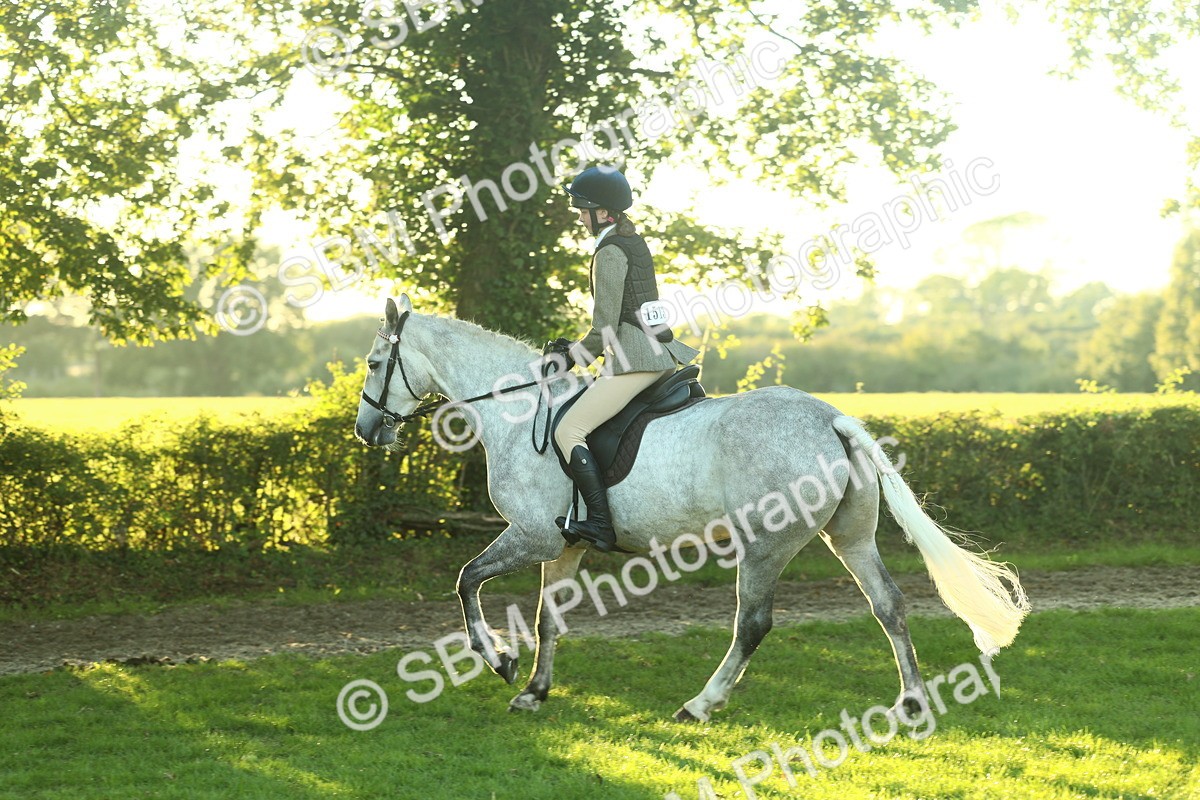SBM_56472 - S14 - Riding Club Horse