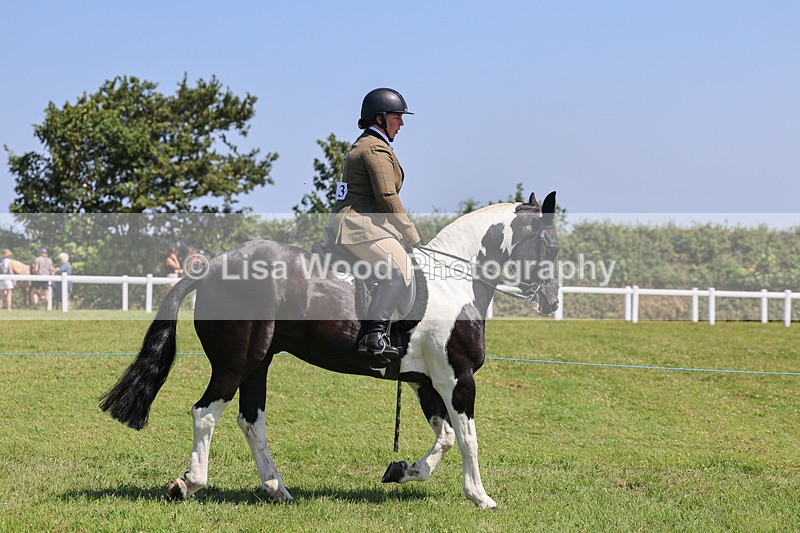 IMG_2322 - Class 38: Veteran Ridden