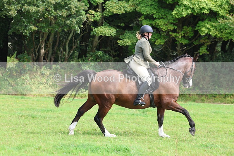 3E7A5873 - Class 26 and 27: 70cm Working Hunter