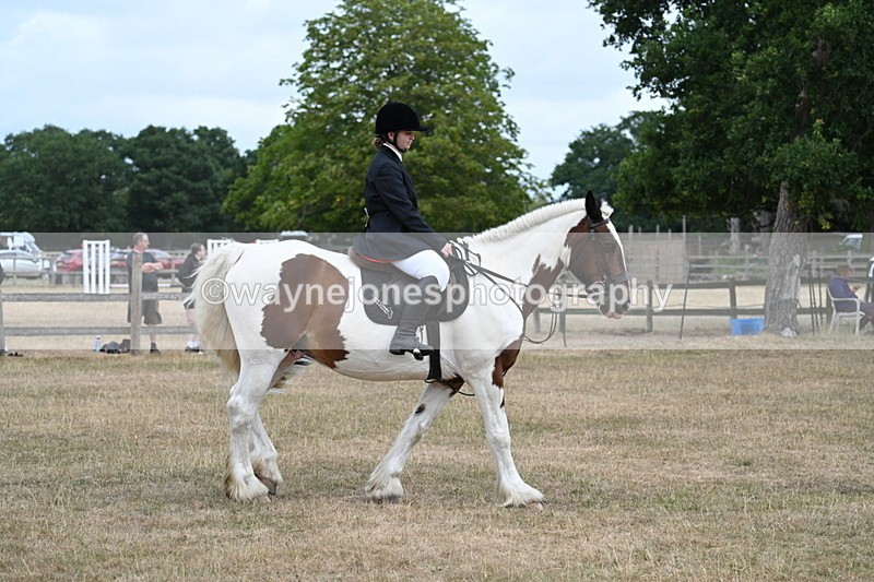 WJ7_1341 - Class 8 Ridden Veterans