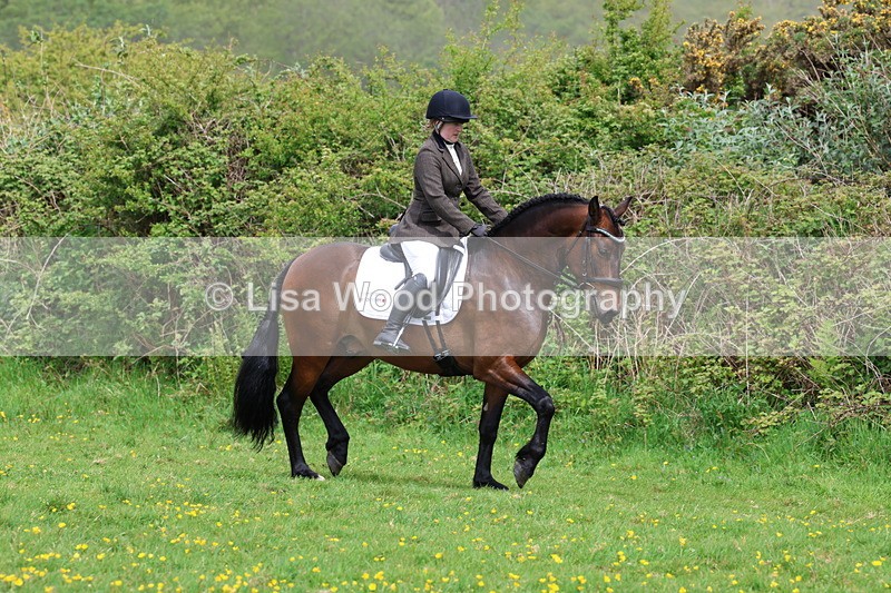 3E7A1707 - Class 9: Riding Club Horse/Pony