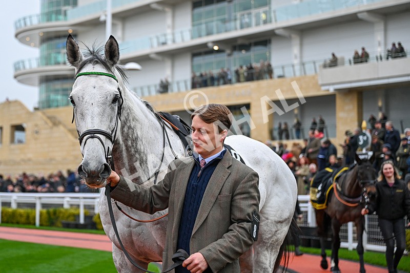 131224-Race 5-Numitor-9808 - Race 5