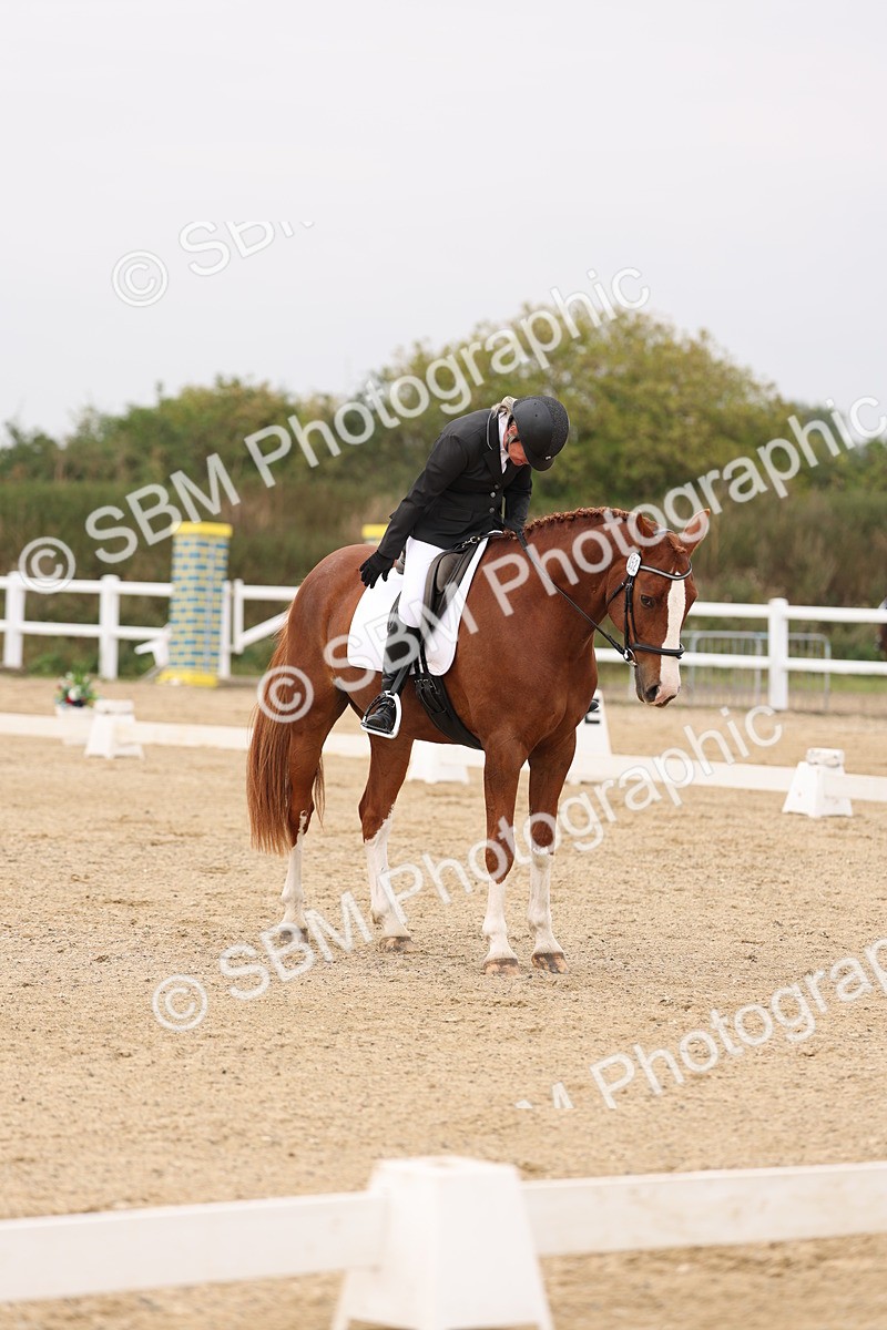 SBM_01468 - Class 9 - Novice 27 Champs