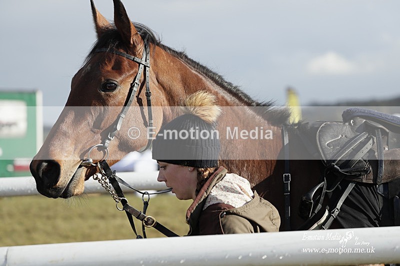 PtP 180323 1345 - Shelfield Park Races with Croome & West Warwickshire Hunt  18/03/23