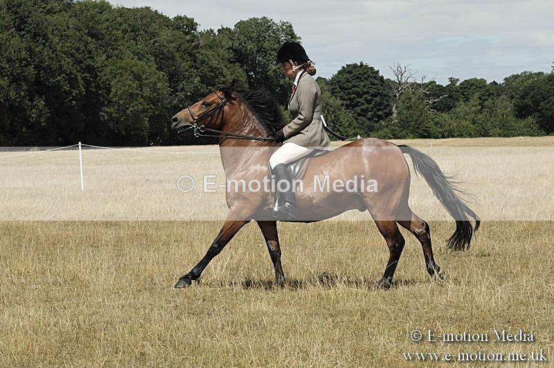 _PJP5984 - BVRC Show 2018 Ring 1