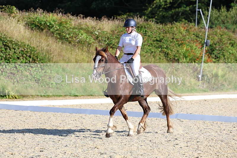 3E7A3661 - Class 2: Intro 1 2024 Section B