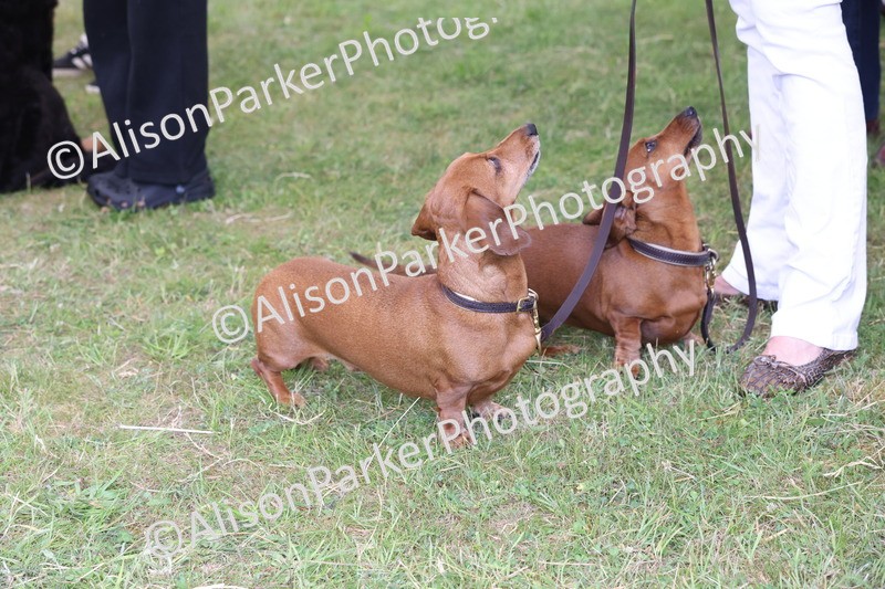 20250607-0454 - Best in Show