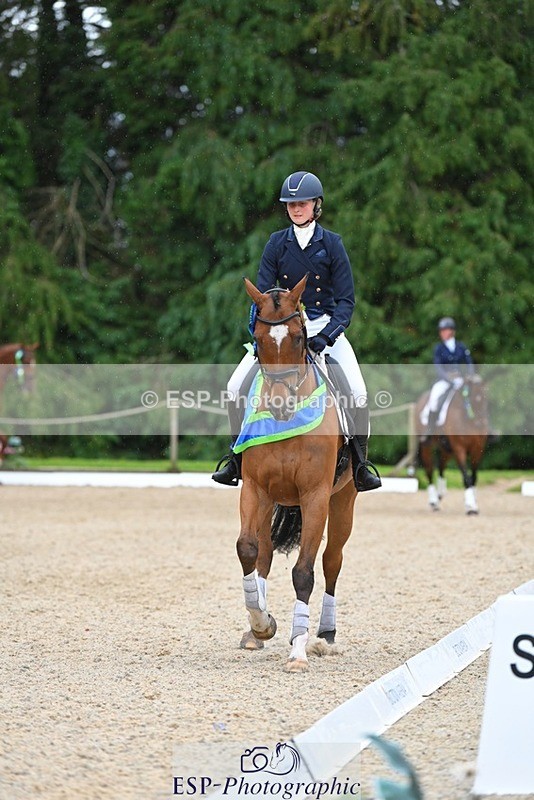 230813-163018-08335 - Medium Bronze Presentations