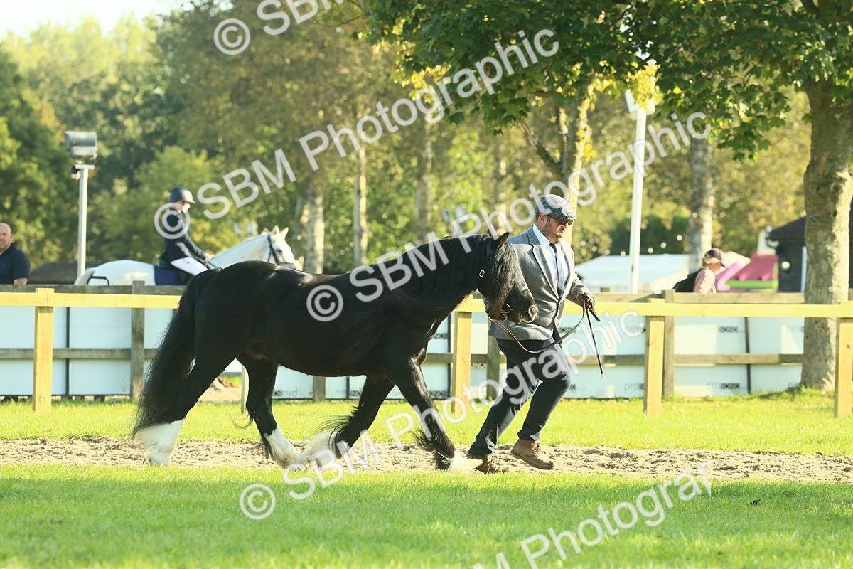 SBM_58529 - S37 - Starters In Hand Showing