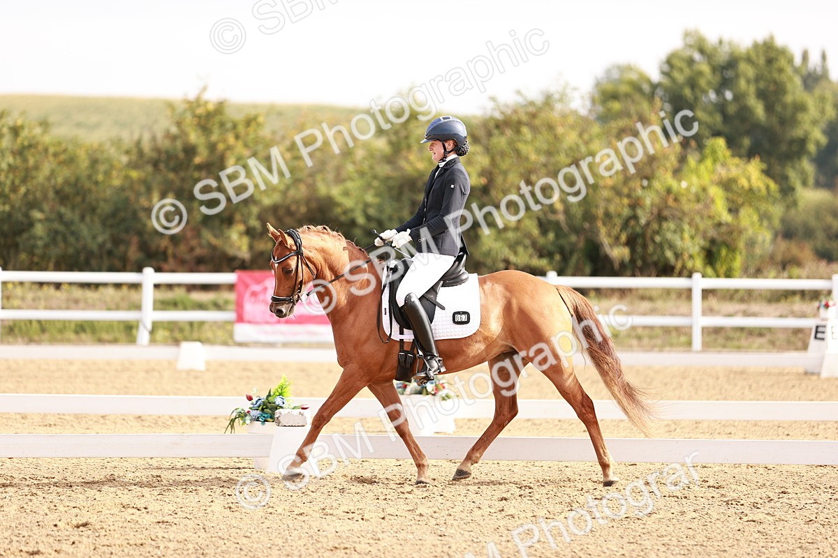 SBM_016905 - Class 10 - Medium 6