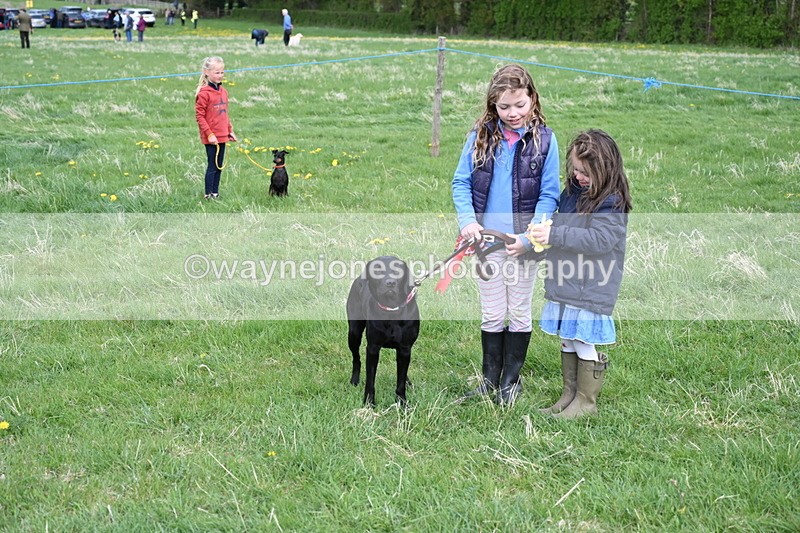 WJ6_8162 - Class 2 Best Pedigree