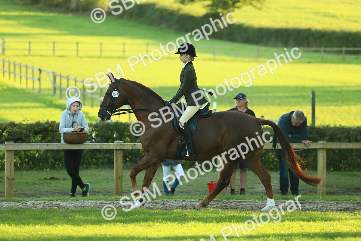 SBM_56456 - S14 - Riding Club Horse