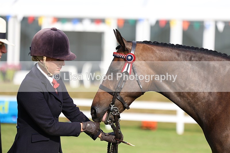 3E7A7878 - Class 1: Rising Star Small Hack/Riding Horses