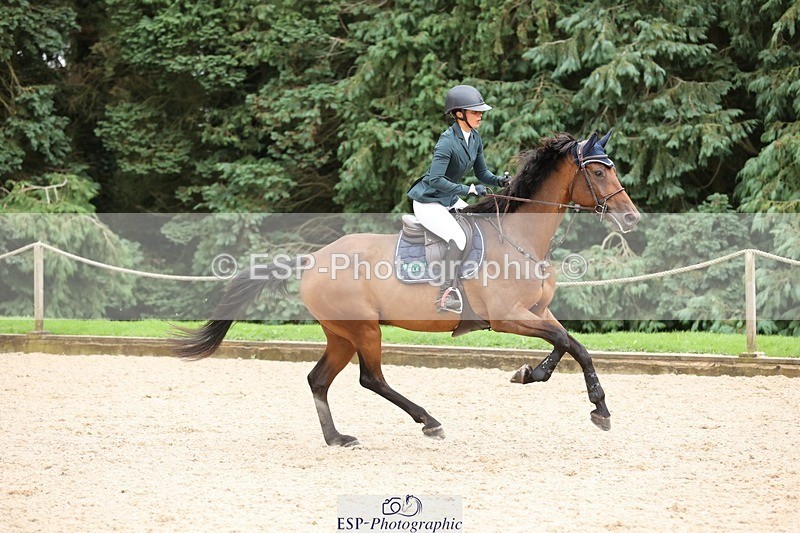 240817-160045-02852 - 06A Snr Fox 1.20m open