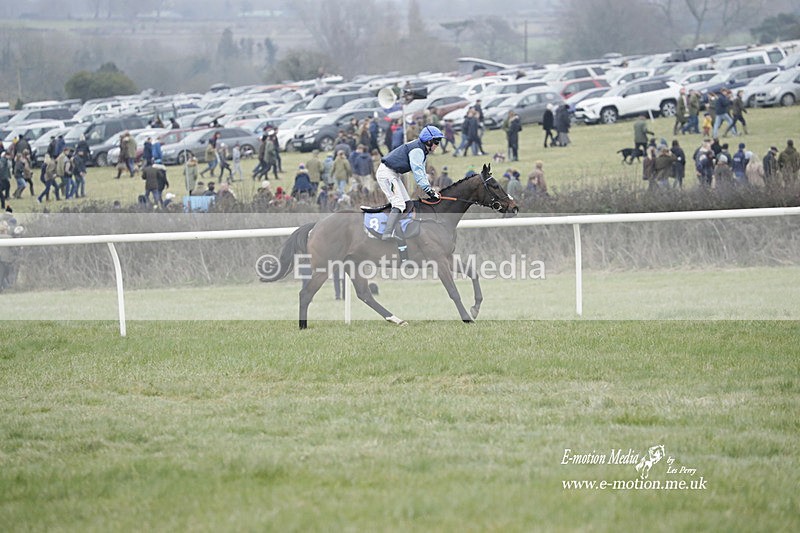 PtP 040323 597 - Duke of Beauforts Hunt Point-to-Point Didmarton 04/03/23
