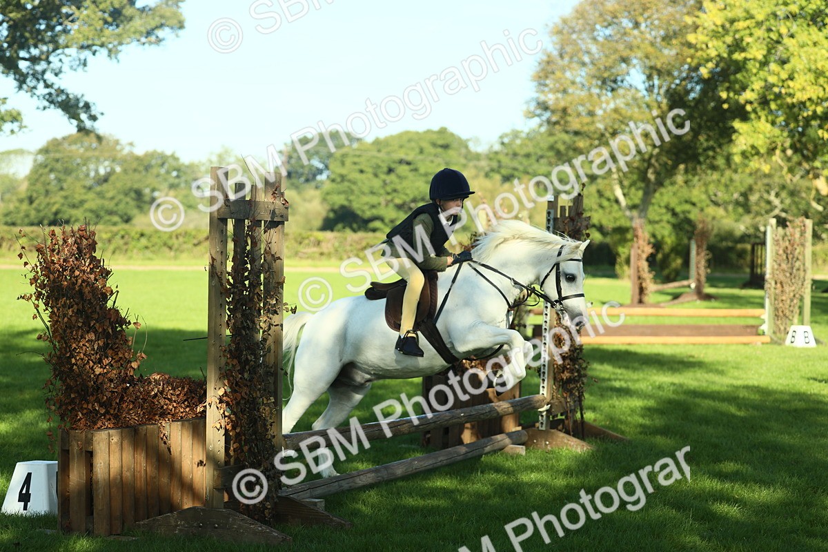 SBM_36382 - S29 - Novice & Newcomers Working Hunter Pony