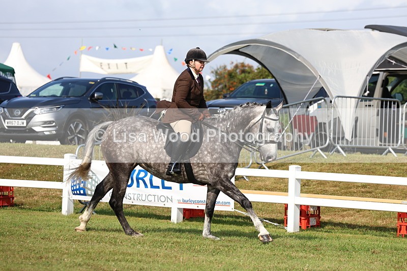 3E7A8579 - Class 3: Rising Star S/L Hunter