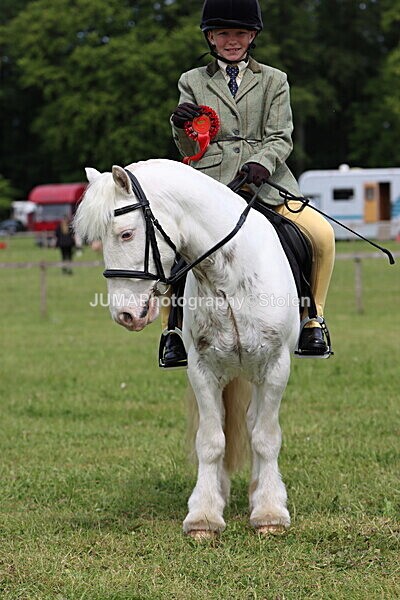IMG_2724 - Working Hunter