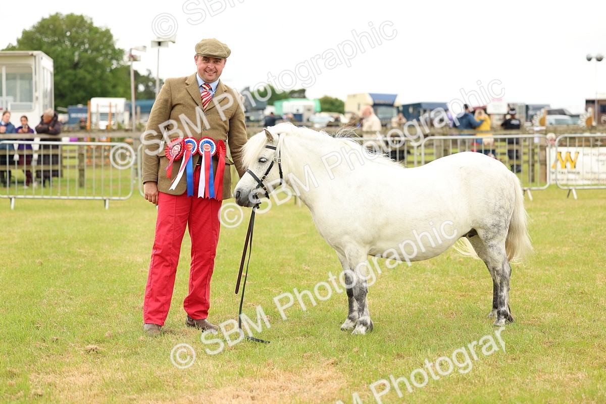 SBM_03580 - Class 58-67 - M&M Non Welsh Pony In hand