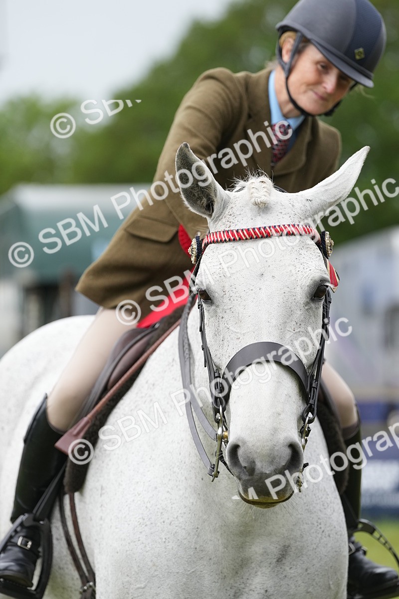SBM_10653 - Class 97-98 - LIHS BSHA Rising Star Working Show Horse Hunter