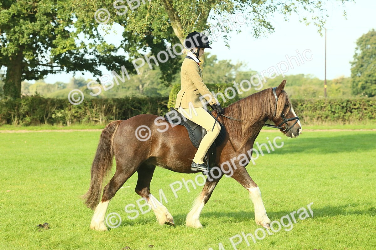 SBM_59839 - S38 - Starters Ridden Showing