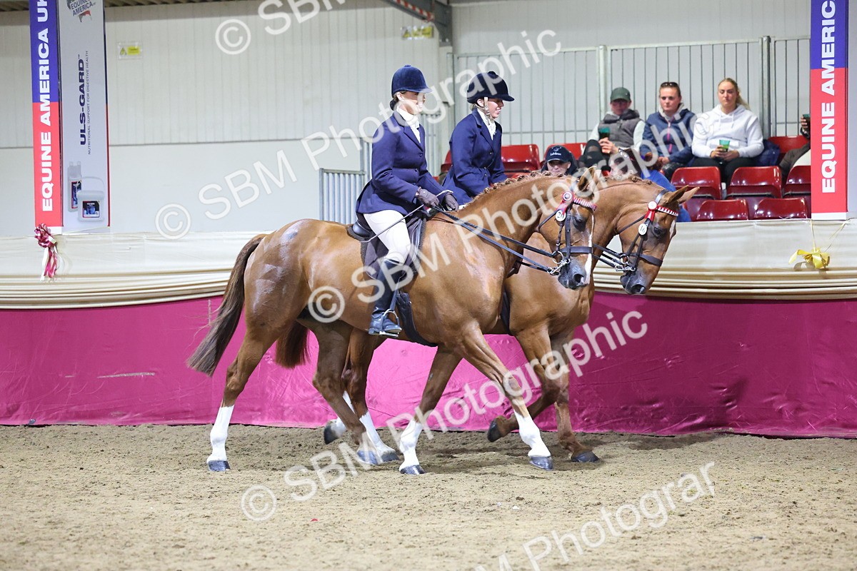 0B8A4310 - Class M Ridden Pairs Champ