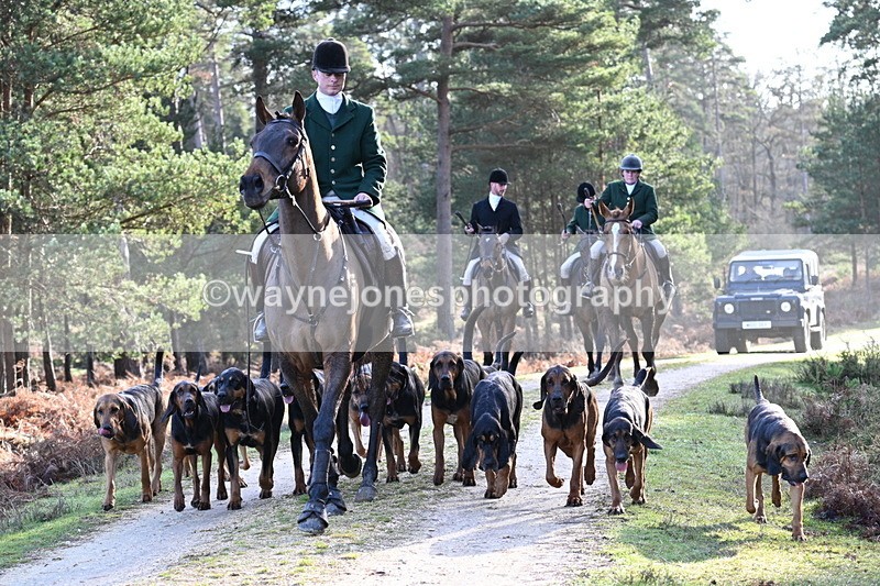 WJ7_7711 - Line 3 (no line 4 or 5)