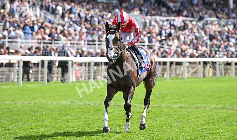 220826-025 Saber Strike - Race 1 13.50pm Sky Bet Strensall Stakes