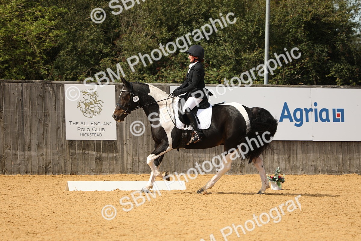SBM_22208 - D17 - Grand Tour Championship - Novice 27