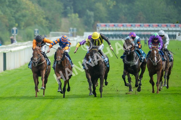 080925-Race 4-Zain Blue-8994 - Race 4 4.00pm Sky Bet Extra Places Middle Distance Handicap