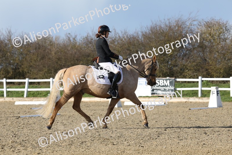 20260314-5801 - DR 7 - Elementary 1