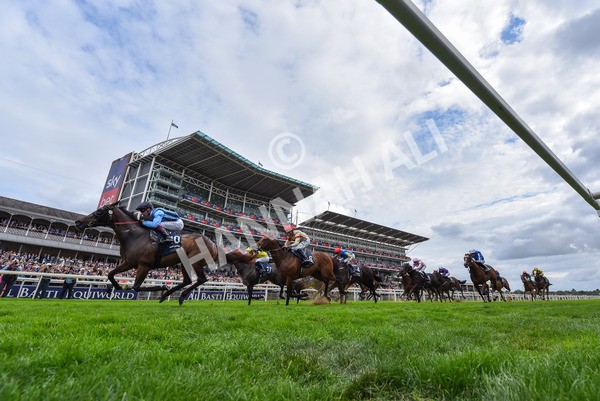 220825-Race 4-Asfoora-9396 - Race 4 3.35pm Coolmore Wootton Bassett Nunthorpe Stakes